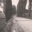 Spodn� ��st cesty do Vino�e pod�l h�je, vedla topolovou alej�