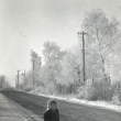 Budovatelská ul. v zimě roku 1959